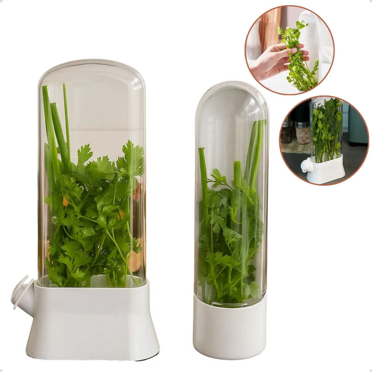 Kit 2un Pote Conservador Ervas Frescas Temperos Herbário Transparente